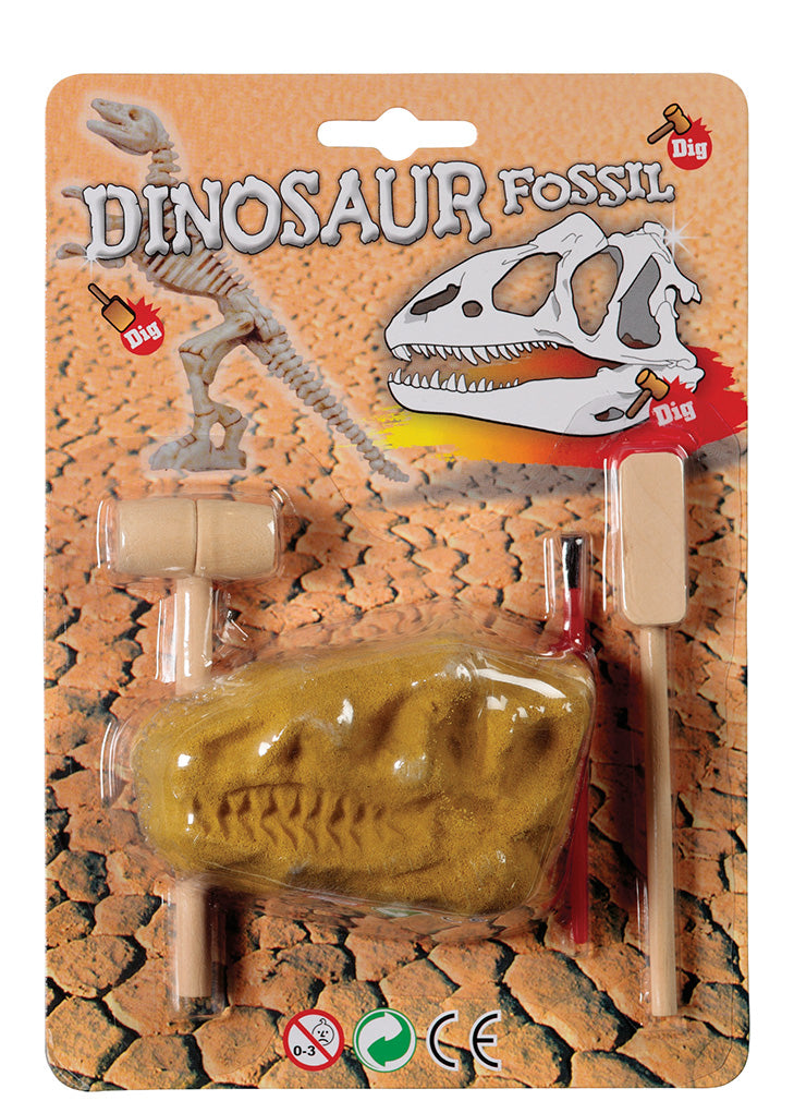 FOSSIL SET-DINOSAUR (24/48)