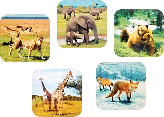 WARM FUZZY Toys 3D Viewfinder (Zoo Animals) - Viewfinder for Kids & Adults, Slide Viewer, 3D Reel Viewer, Classic, Retro and Vintage Toys with 3 Reels - Contains 21 High Definition 3D Images