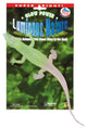 WARM FUZZY Toys Super Bright Glow Animals ~ Wildlife Animals That Come Alive in The Dark. Super Bright Glow in The Dark Alligators, Bats, Snakes. Perfect for The Home or Classroom. (Alligator)